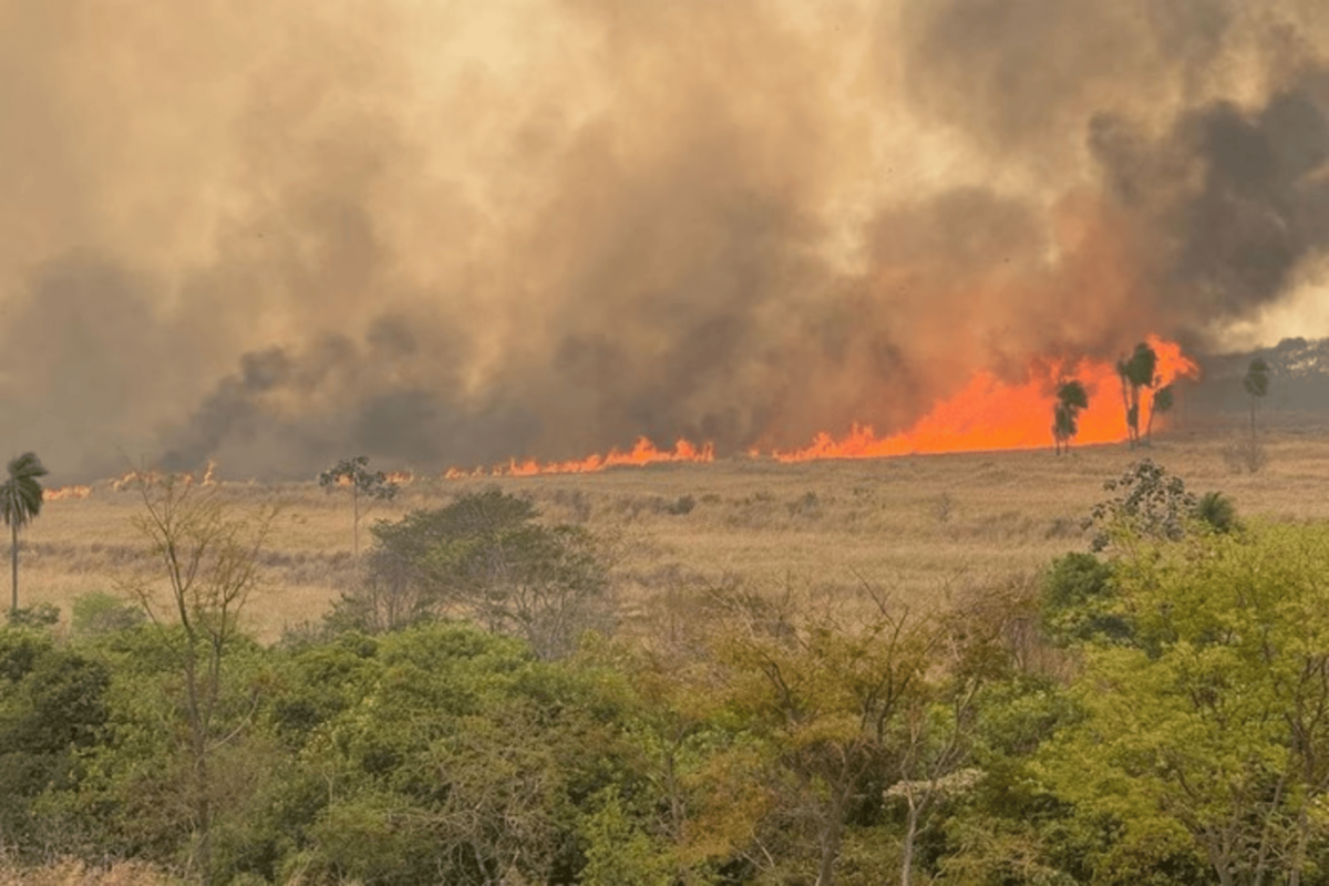 Large fire near LATAM maintenance center in São Carlos