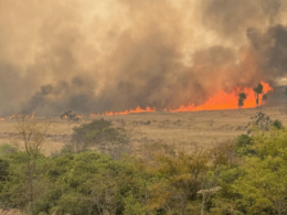 Large fire near LATAM maintenance center in São Carlos