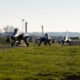 French Rafale fighter jets at Spangdahlem Air Base