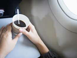 Passenger sues EgyptAir over hot tea burns during flight