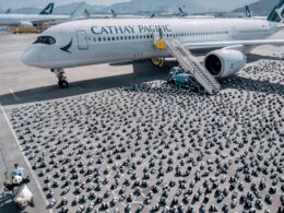 2,500 panda sculptures displayed at Hong Kong International Airport