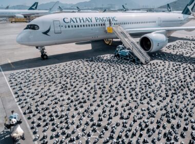 2,500 panda sculptures displayed at Hong Kong International Airport