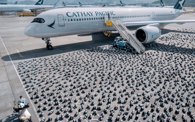 2,500 panda sculptures displayed at Hong Kong International Airport