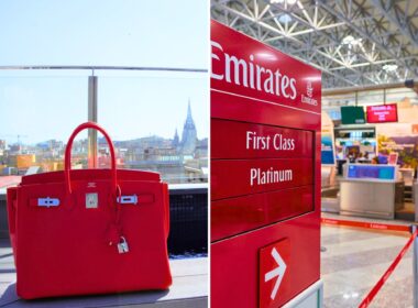 EK checkin hermes birkin theft