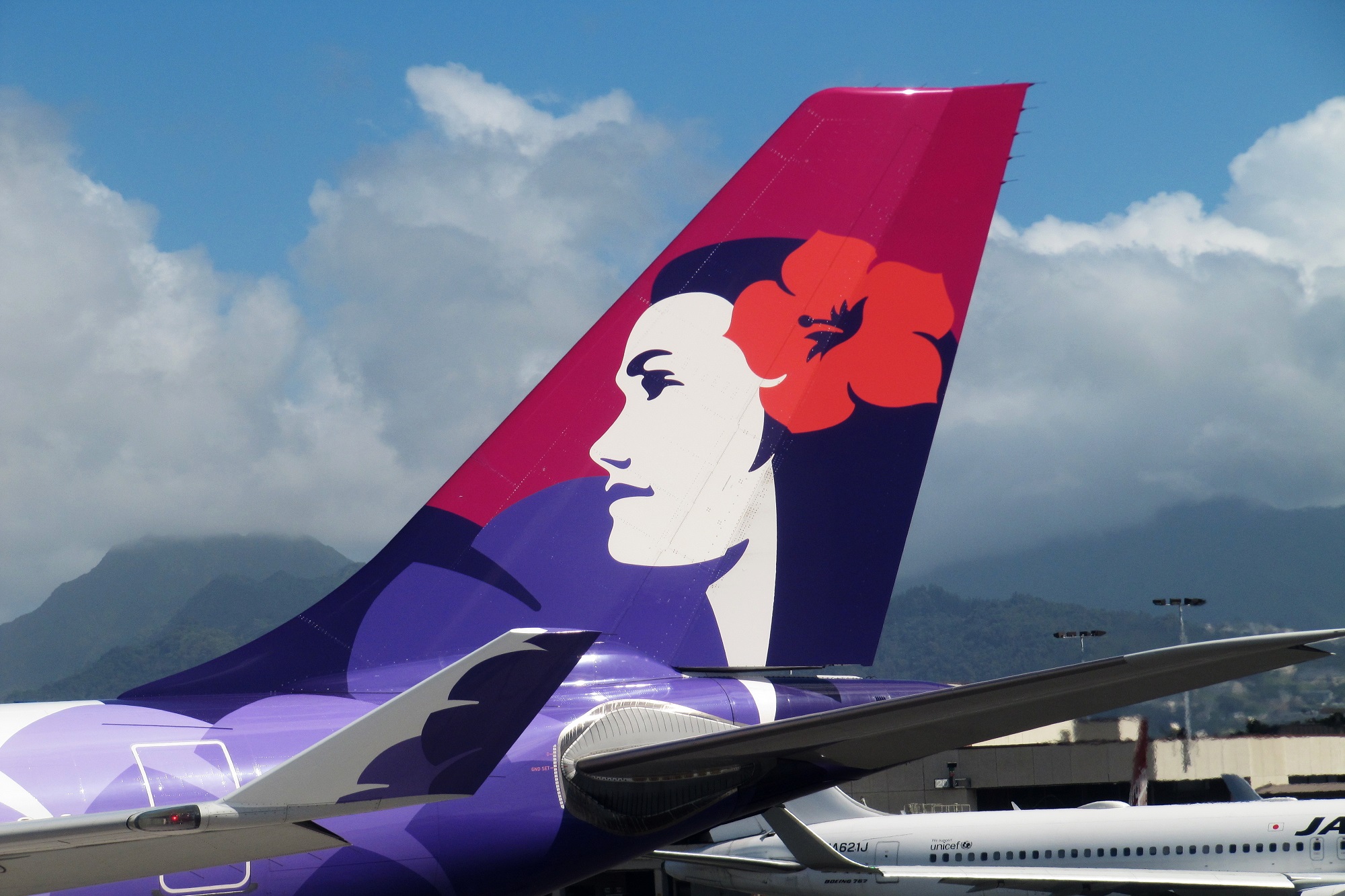 Hawaiian Airlines in the red in 2022 despite robust demand AeroTime