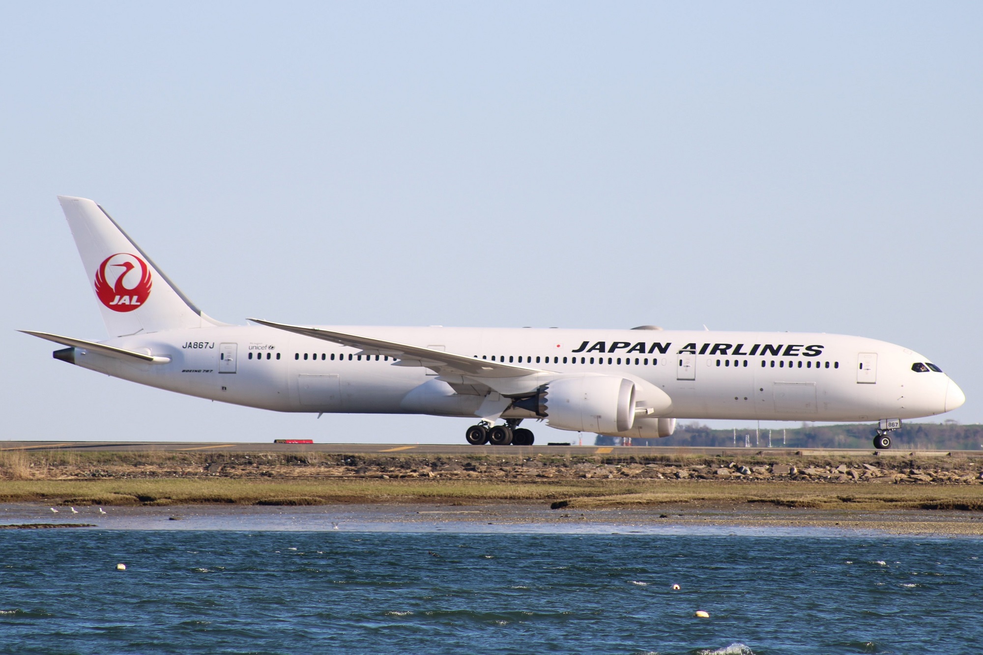 Japan Airlines to order A321neo, B787 at Paris Airshow - AeroTime