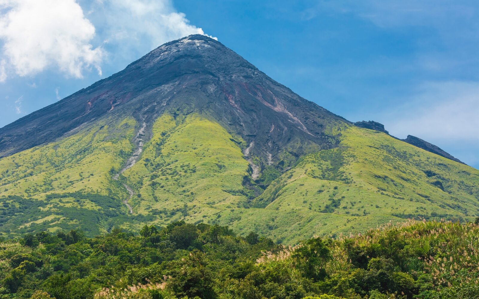 Four bodies found on Philippine volcano after Cessna crash.