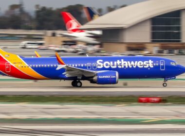 A Southwest Airlines Boeing 737 MAX was forced to turn back to Havana, Cuba, following a bird strike