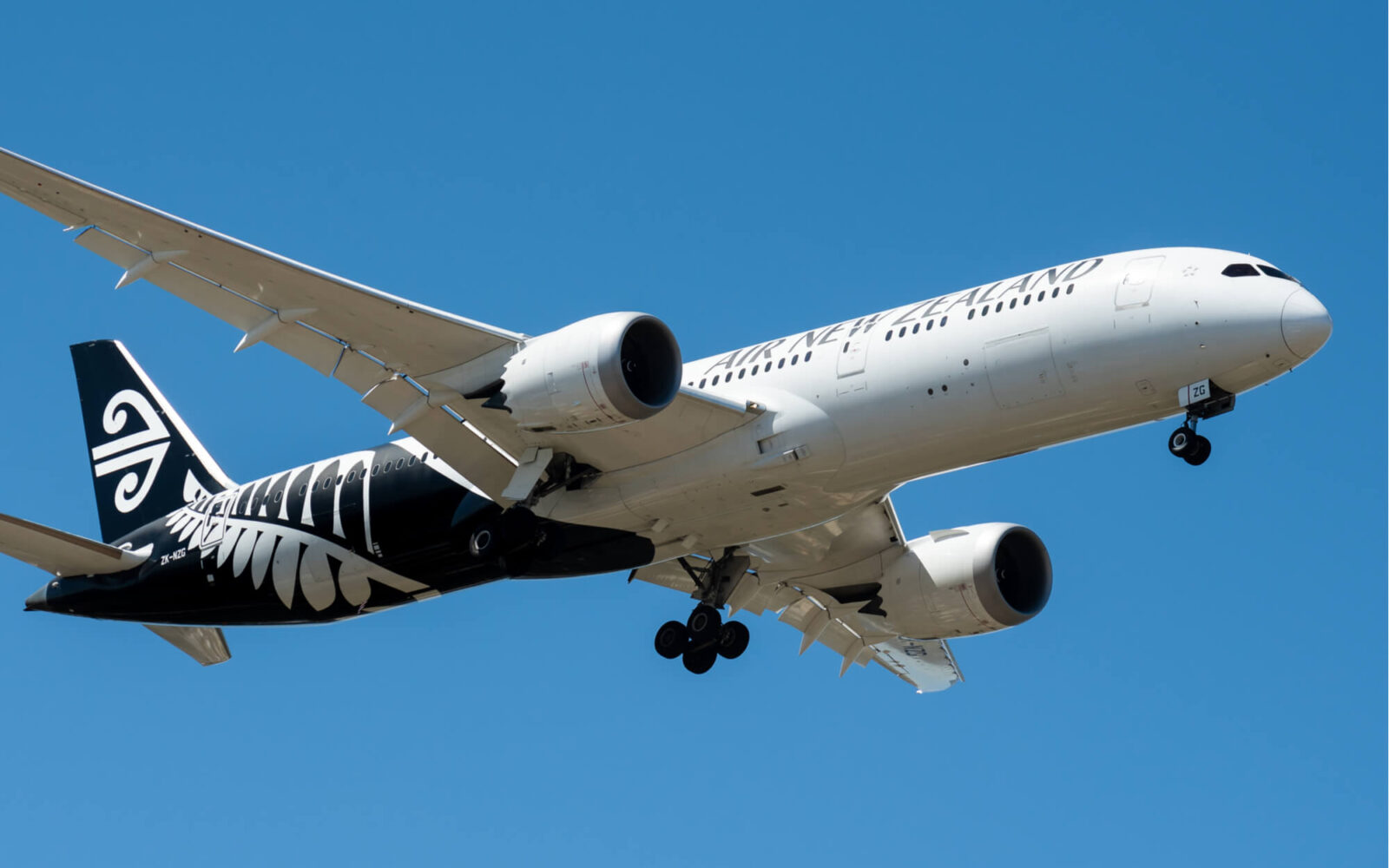 Air New Zealand transforms 787 Dreamliner into a COVID-19 vaccination ...