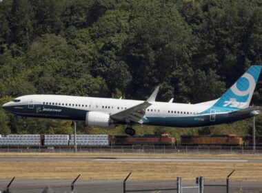 boeing_737_max_landing_at_boeing_field_airport_bfi.jpg