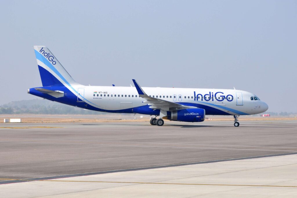 indigo-1.jpg