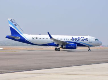 indigo-1.jpg